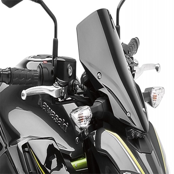 Kawasaki Larger meter cover Z900
